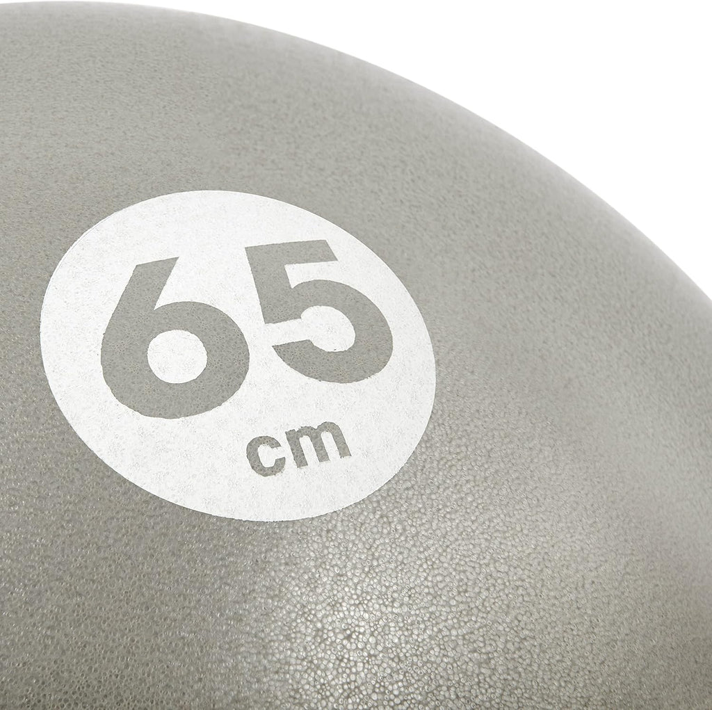 Reebok 65cm Stability Gym Ball